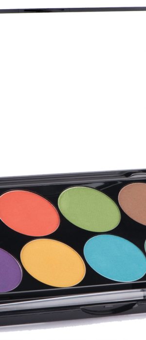 INTENSE PRO PALETTE WIND