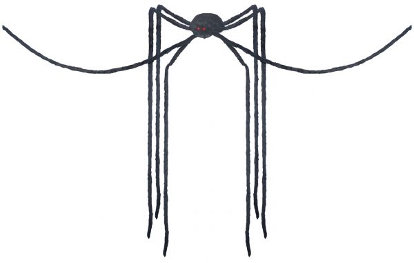 SPIDER BLACK LONG LEGS
